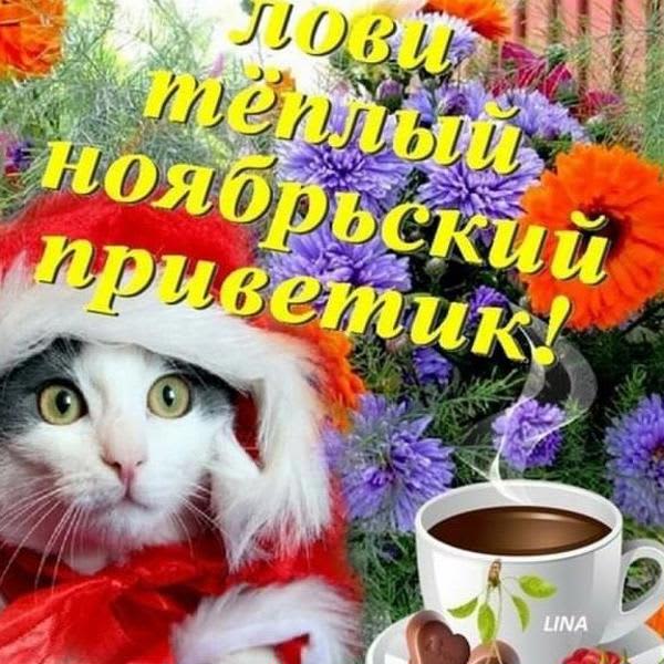 Картинка отзыва