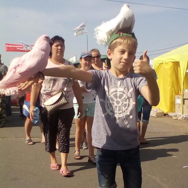 Картинка отзыва