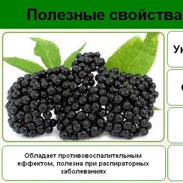 Картинка отзыва
