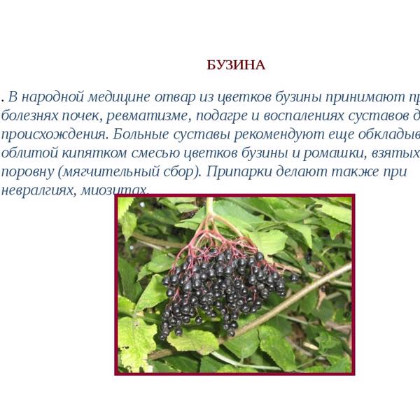 Картинка отзыва
