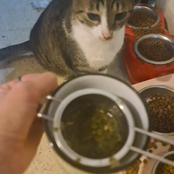 Картинка отзыва