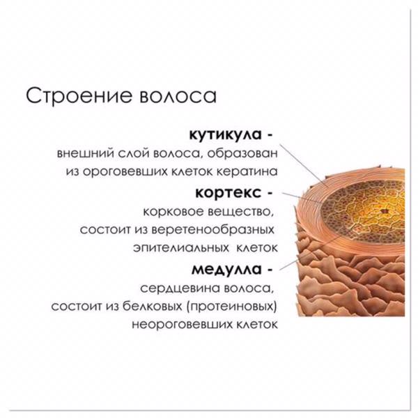 Картинка отзыва
