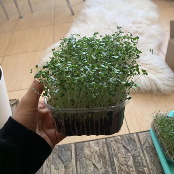 Картинка отзыва