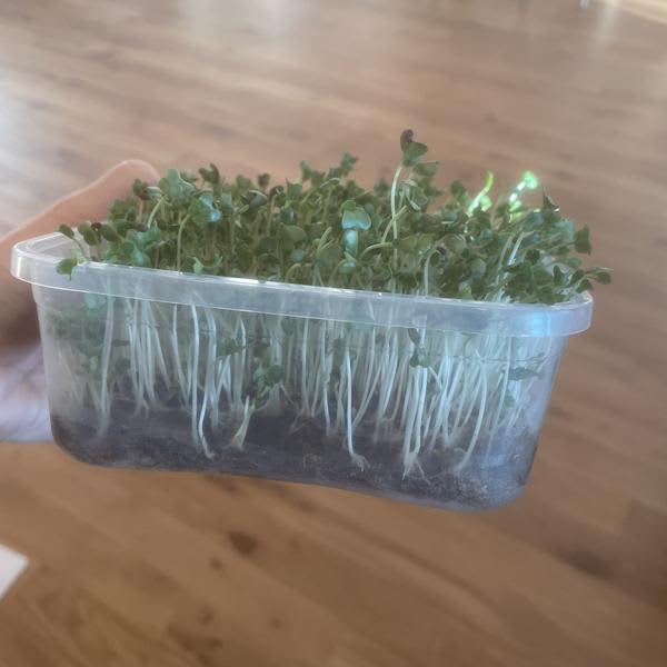 Картинка отзыва