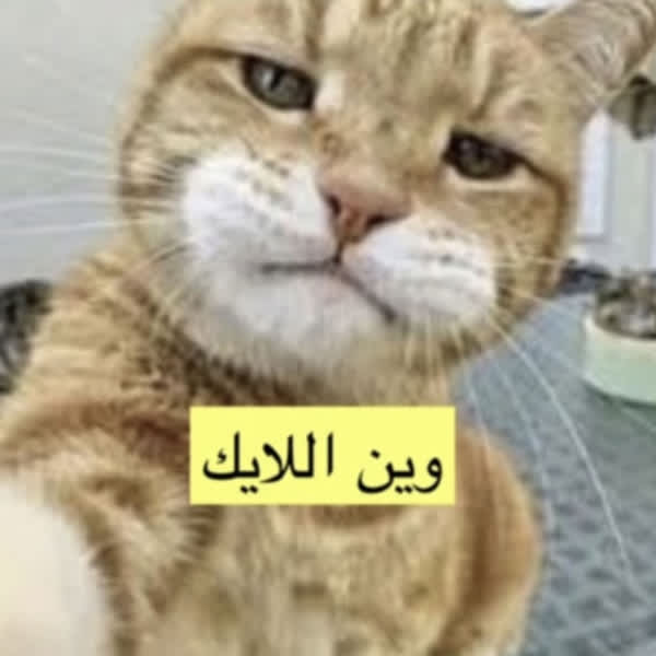 Картинка отзыва