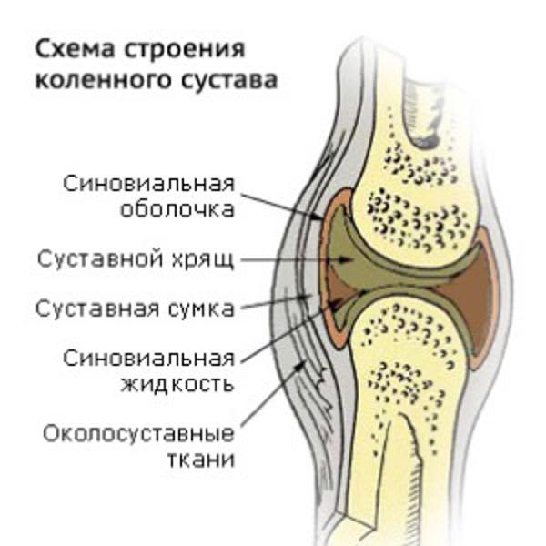 Картинка отзыва