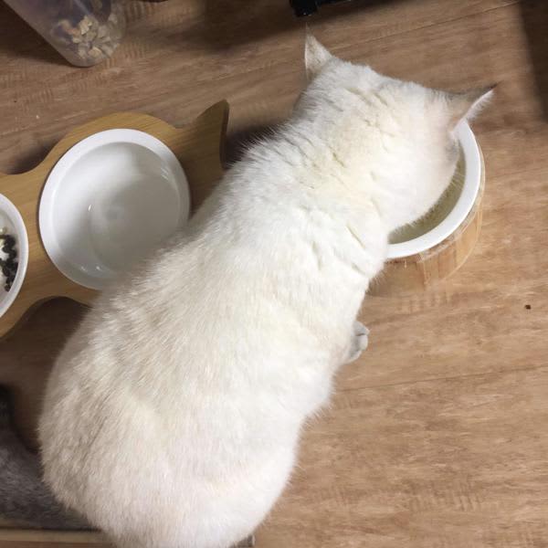 Картинка отзыва