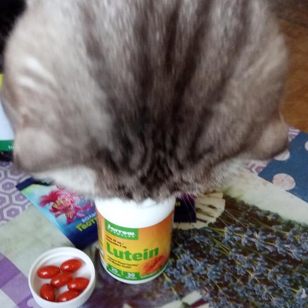 Картинка отзыва