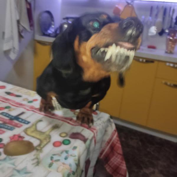 Картинка отзыва