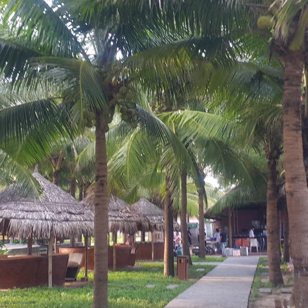 Картинка отзыва