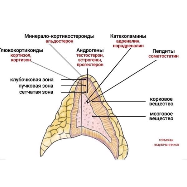 Картинка отзыва