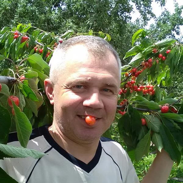 Картинка отзыва