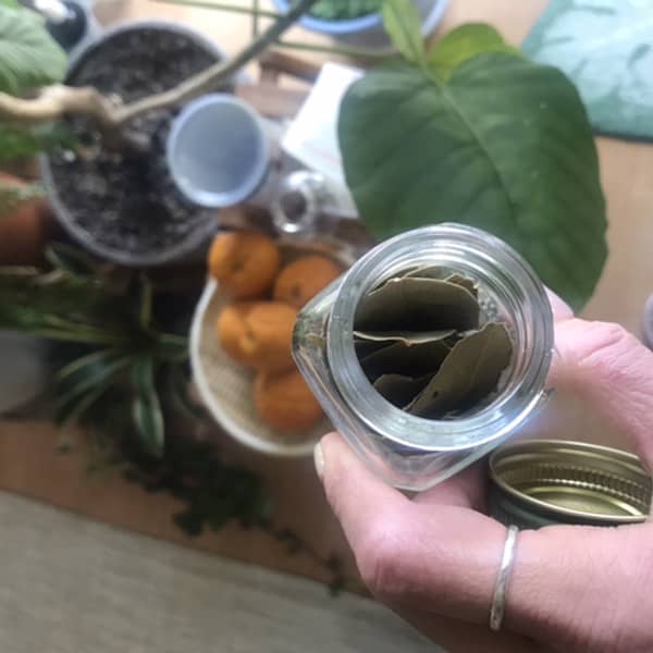 Картинка отзыва
