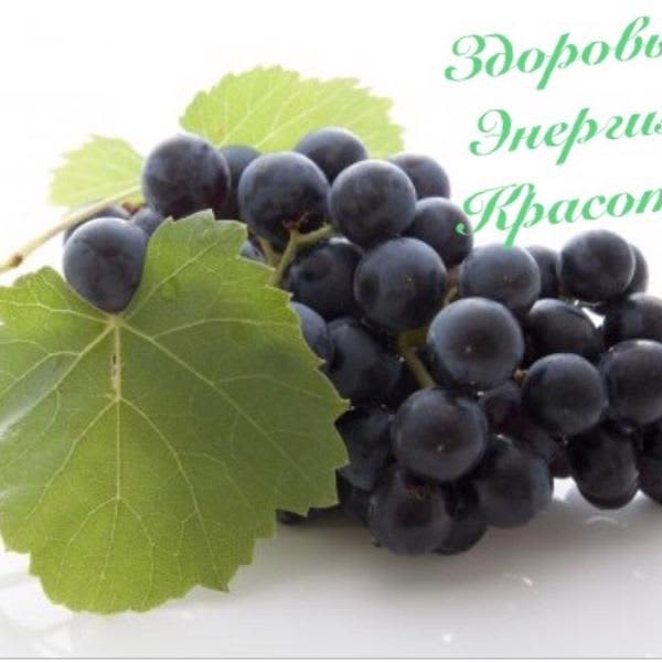 Картинка отзыва