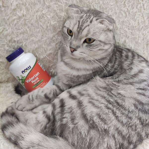 Картинка отзыва