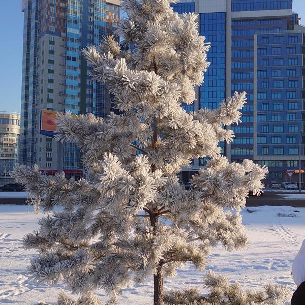 Картинка отзыва