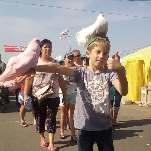 Картинка отзыва