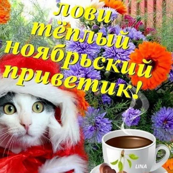 Картинка отзыва