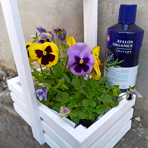 Картинка отзыва
