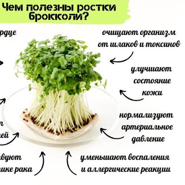 Картинка отзыва
