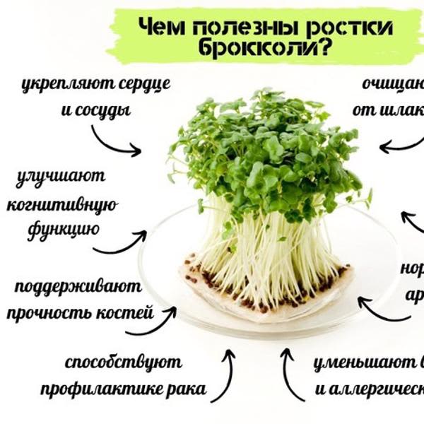 Картинка отзыва