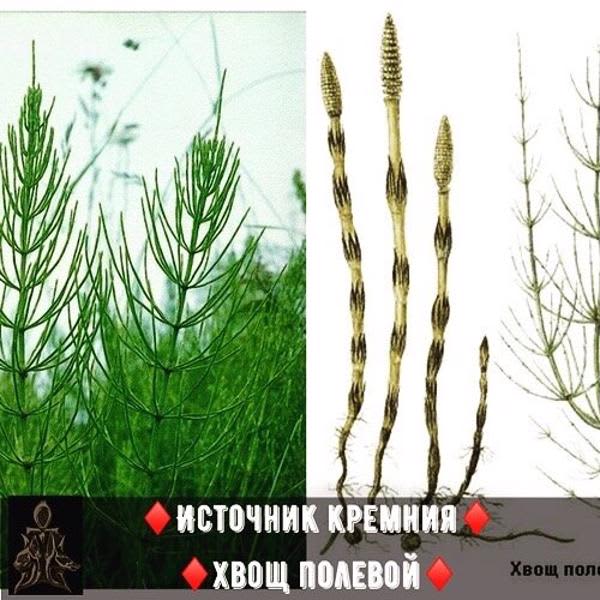 Картинка отзыва