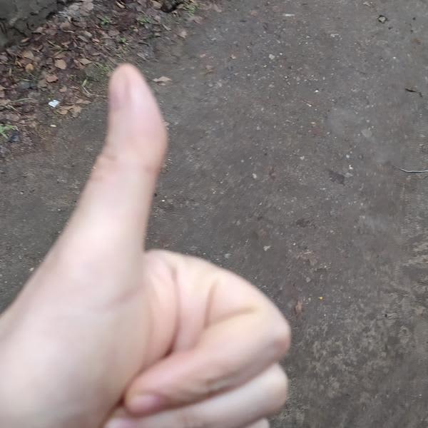Картинка отзыва