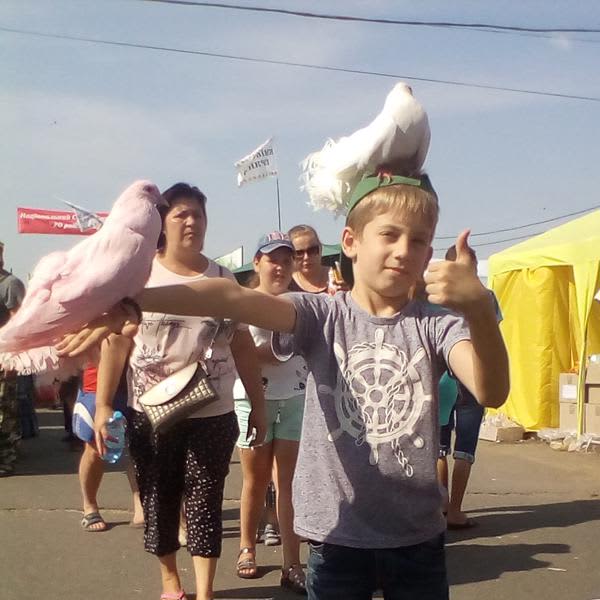 Картинка отзыва