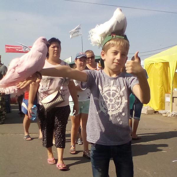 Картинка отзыва