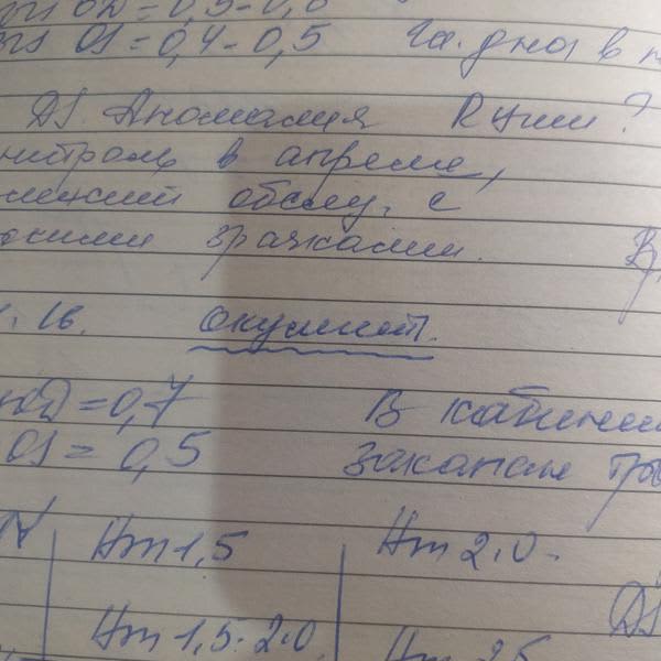 Картинка отзыва