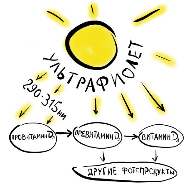 Картинка отзыва