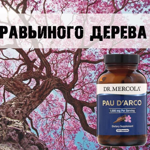 Картинка отзыва