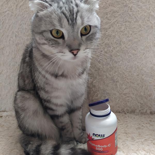 Картинка отзыва