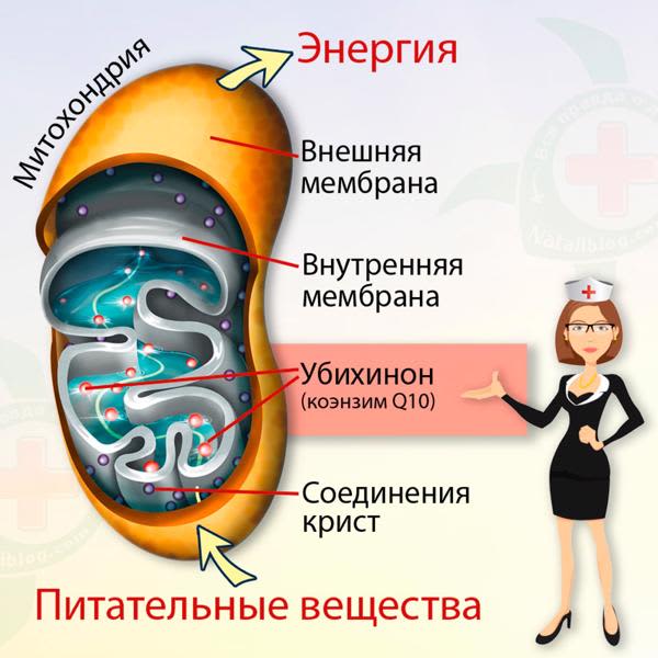 Картинка отзыва